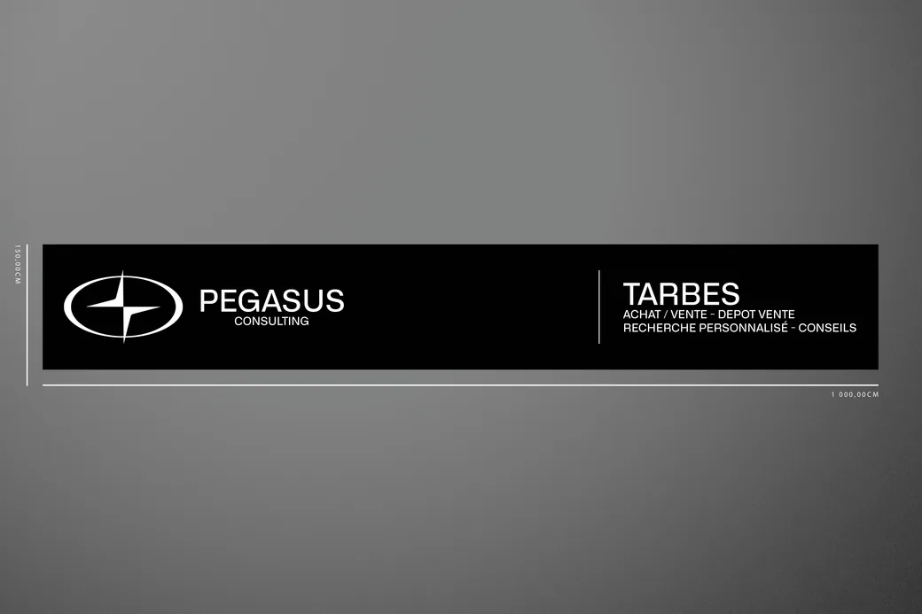Panneau d’agence Pegasus Consulting Tarbes, format long, avec ses cotes